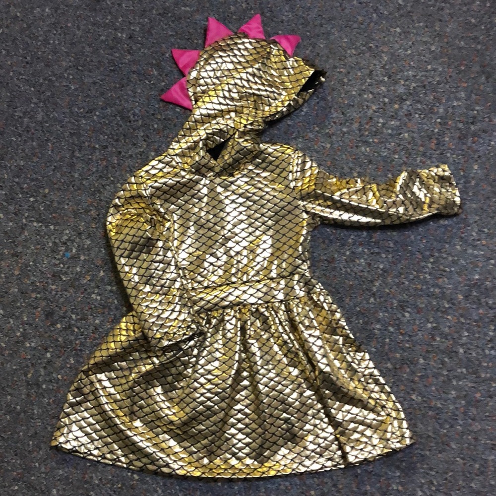 Toddler dinosaur hoodie